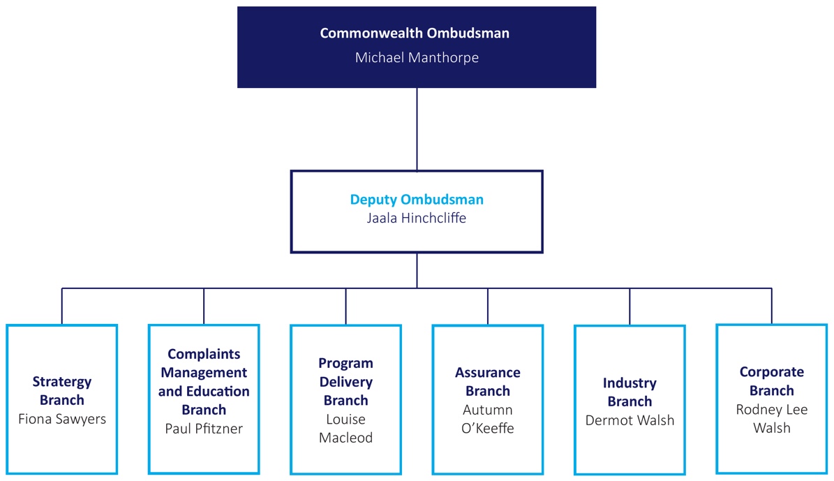 Figure 1 - Executive and Senior Management structure at 30 June 2019